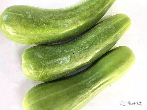 吃瓜的老八,揭秘网络红人的幕后故事