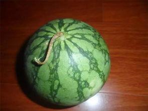 吃瓜的老八,揭秘网络红人的幕后故事