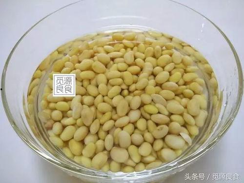 小黄豆回应吃瓜