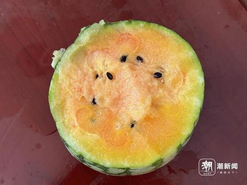 瓜姐宇宙吃瓜,揭秘娱乐圈的幕后秘密与精彩瞬间