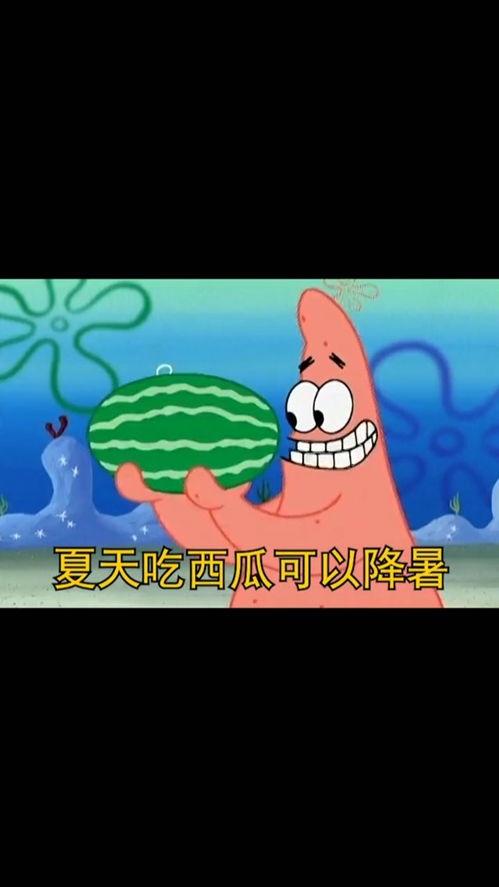 恶搞吃瓜段子搞笑,恶搞吃瓜段子,让你捧腹大笑!