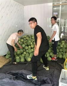 常州湖塘吃瓜,夏日吃瓜盛宴,品味清凉一夏