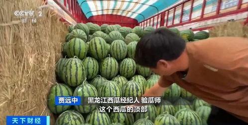 张立新吃瓜,揭秘娱乐圈幕后故事