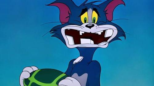 小汤姆吃瓜,小汤姆的夏日吃瓜记