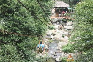 索道青岛吃瓜,吃瓜群众的观景天堂