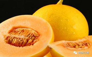 吃蜜瓜减肥,甜蜜减脂新体验