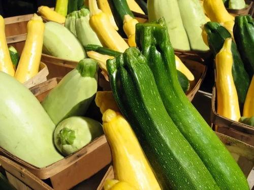 带你吃瓜场景,带你走进“吃瓜群众”的欢乐世界