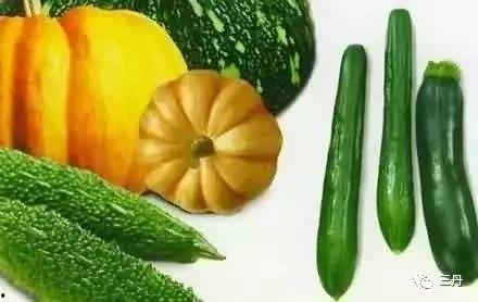 英区吃瓜群,揭秘英国留学生活中的趣味瞬间