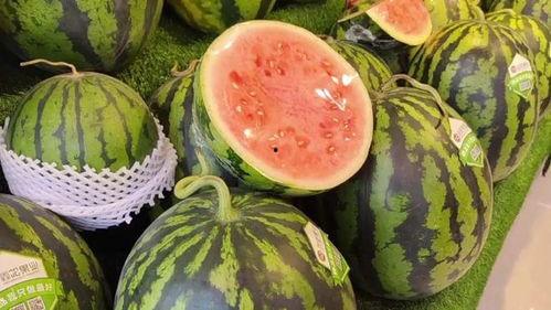 大脑吃瓜,揭秘瓜类食物的神奇益处