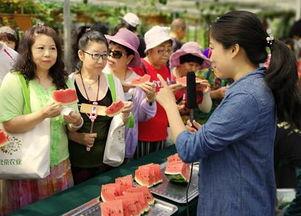 小品线下吃瓜体验,一场别开生面的小品盛宴