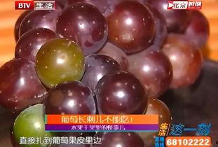 吃瓜不葡萄皮,揭秘“吃瓜不葡萄皮”背后的趣味与哲理