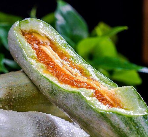 楼顶吃瓜山东,揭秘山东的独特风情