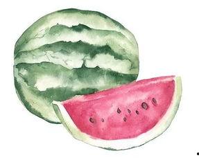 横着吃瓜,揭秘娱乐圈背后的秘密