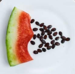 吃瓜里面的籽可以吃吗