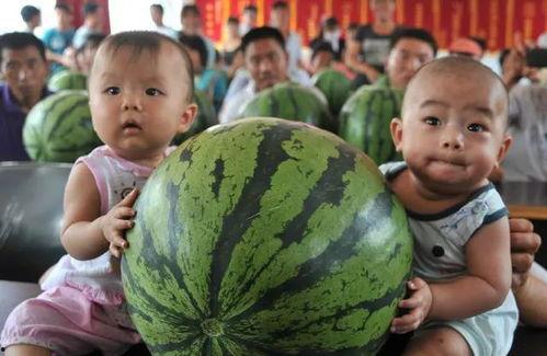 吃瓜萌图片,揭秘娱乐圈幕后趣闻