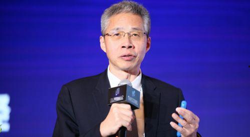 行走吃瓜圈李迅雷,李迅雷的财经洞察与人生感悟