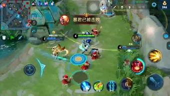 呱呱吃大瓜,揭秘网络热词背后的趣味与内涵